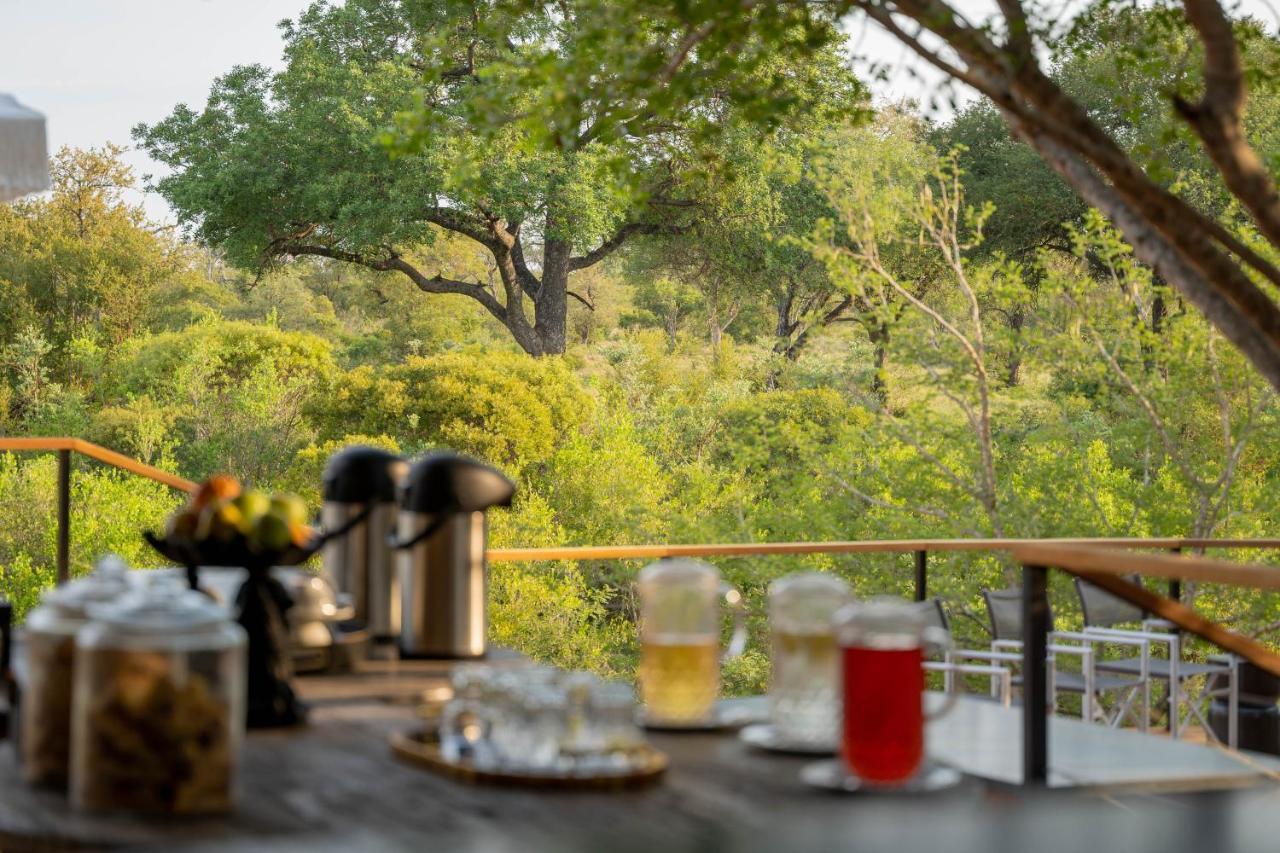 Thornybush Game Lodge Thornybush Game Reserve Exterior photo