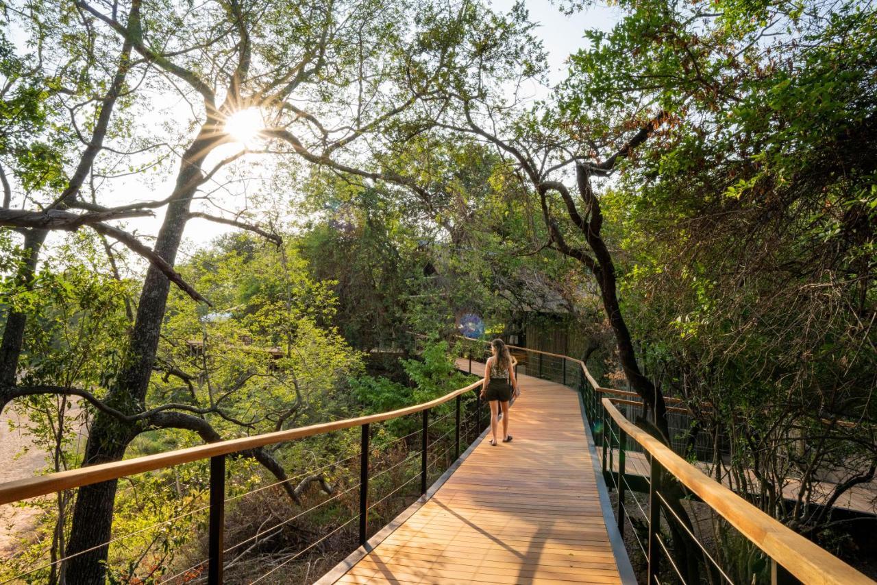 Thornybush Game Lodge Thornybush Game Reserve Exterior photo